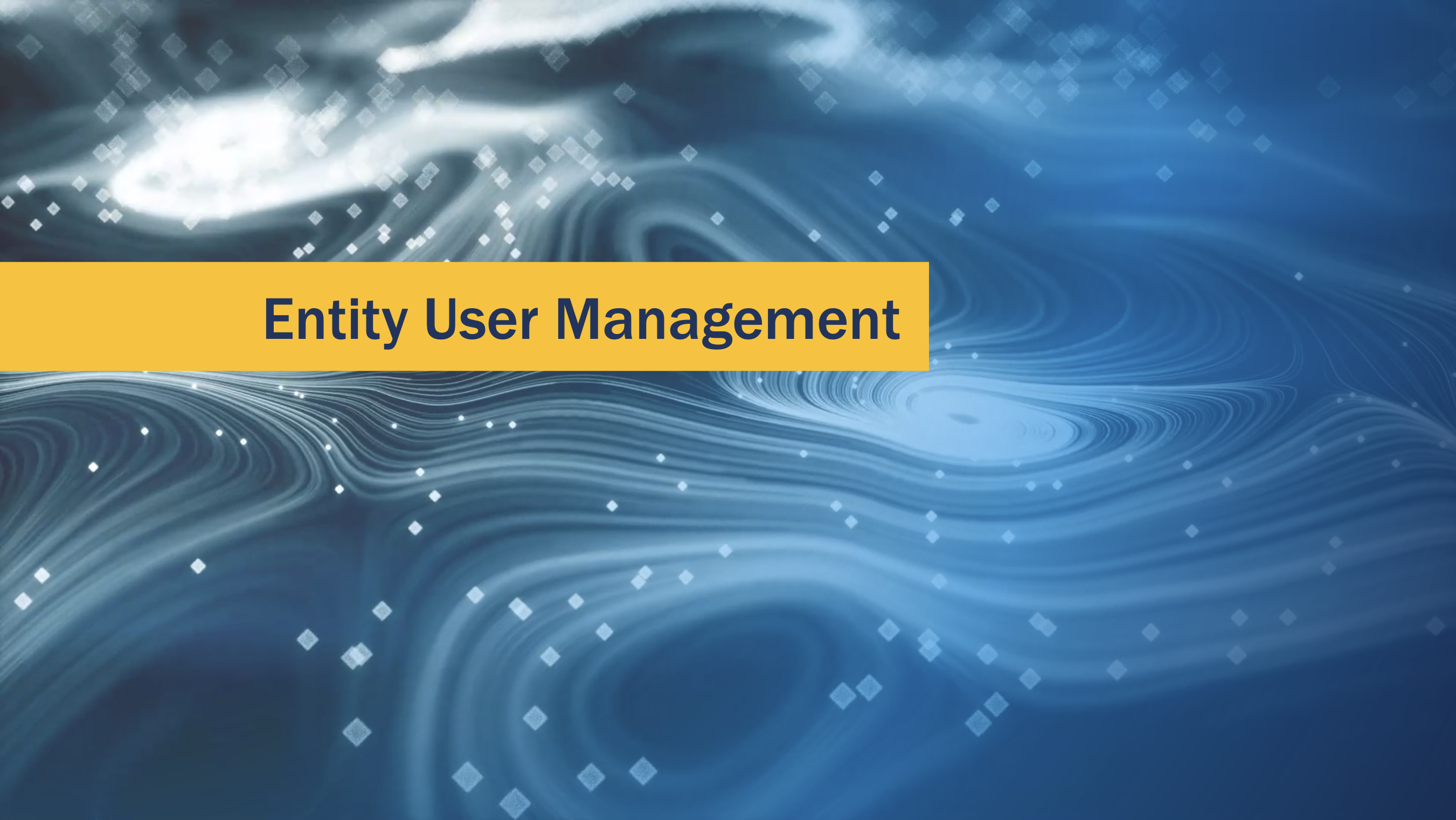 Training: Entity Management: Entity User Management