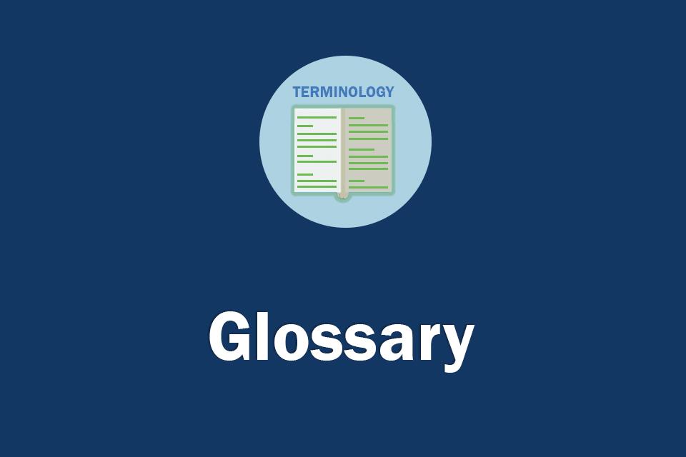 Glossary of Terms